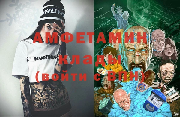 прущие грибы Сатка