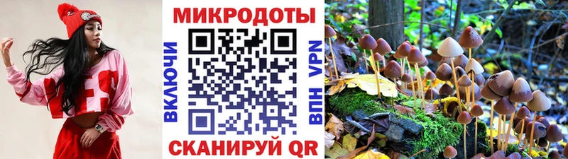 Галлюциногенные грибы GOLDEN TEACHER  купить наркоту  Завитинск 