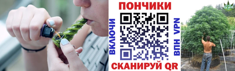 Конопля семена купить закладку Завитинск